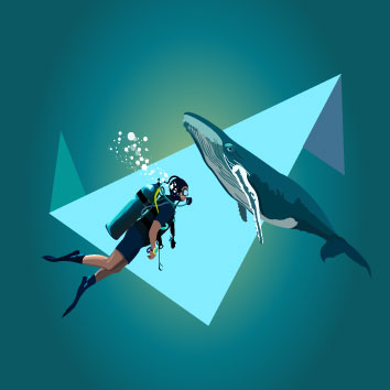 portfolio 3